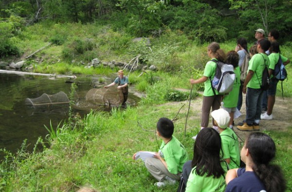 کلاس پنجم و ششم